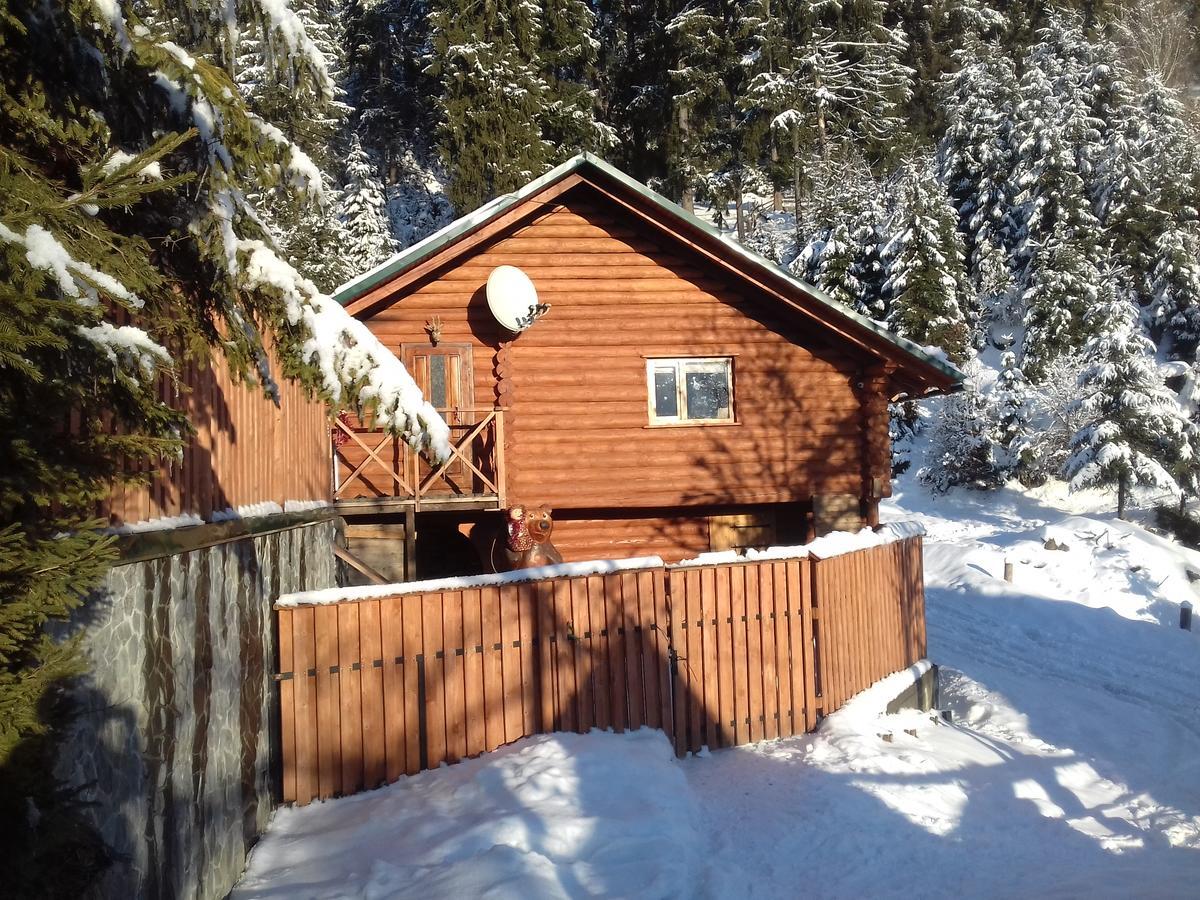 Hostel Farmstead Lisova Mizhhirya  Exterior foto
