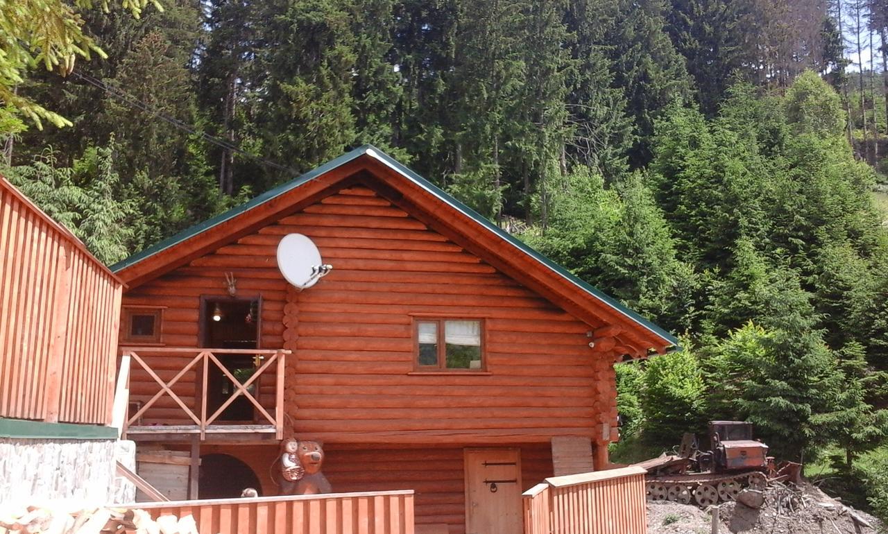 Hostel Farmstead Lisova Mizhhirya  Exterior foto